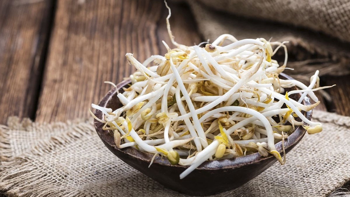 cách làm giá đỗ