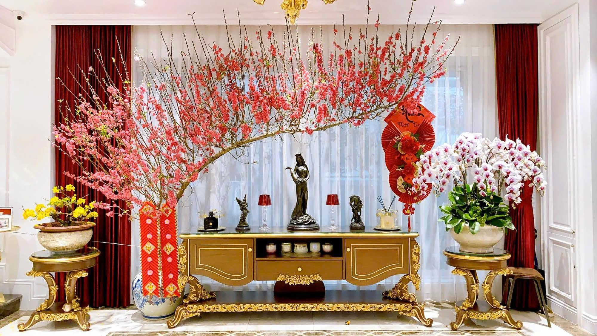 hoa đào ngày tết